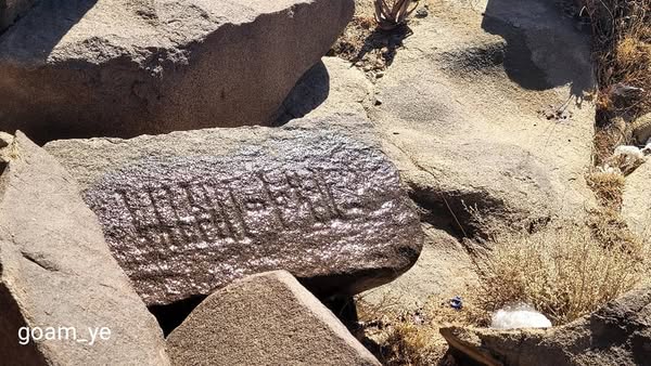 السوادية بمحافظة البيضاء.